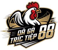 gachoic1.vip.đắk puer|Tổng hợp xem đá gà trực tiếp livestream các trường gà.